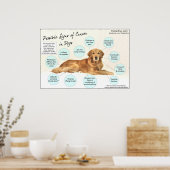 Tekenen van Poster bij kanker (Keuken)