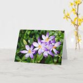 Tekenen van Spring Kaart (Gele Bloem)