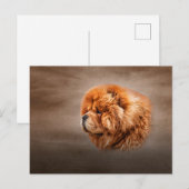 Tekenhondchow Briefkaart (Voorkant / Achterkant)