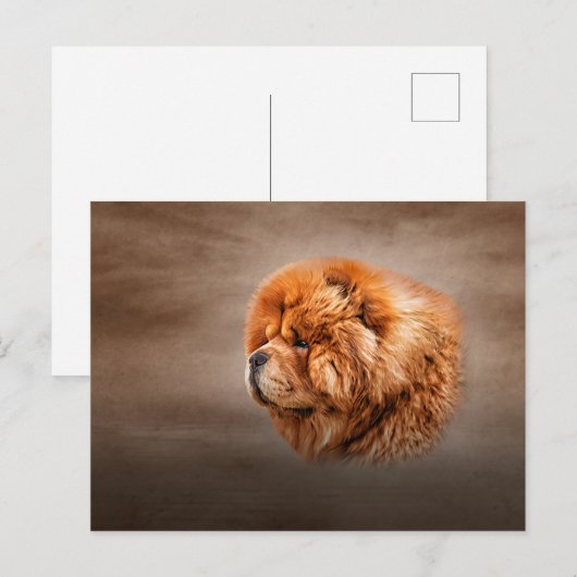 Tekenhondchow Briefkaart (Voorkant / Achterkant)