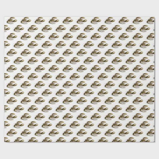  tekening #3 cadeaupapier (Vlak)