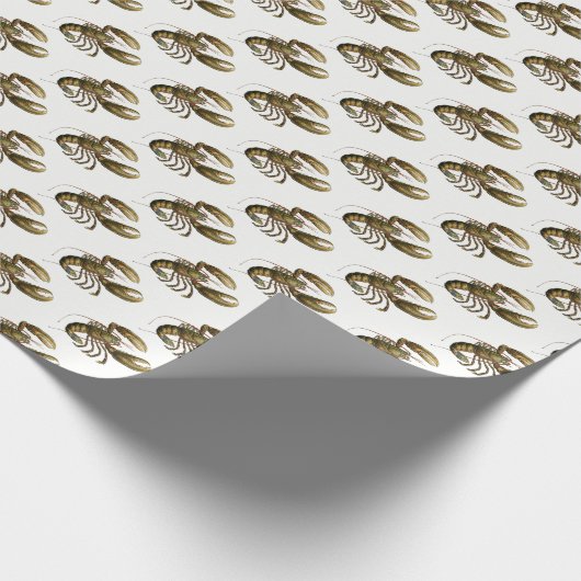 tekening #3 cadeaupapier (Hoek)