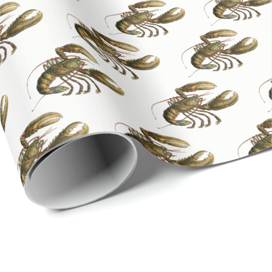 tekening #3 cadeaupapier (Rol Hoek)