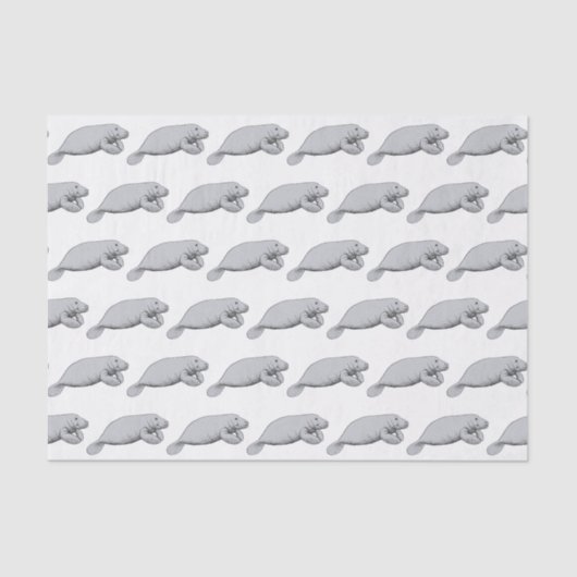  tekening beheren tissuepapier (Voorkant)