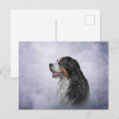Tekening Bernese Mountain Dog Briefkaart (Voorkant / Achterkant)