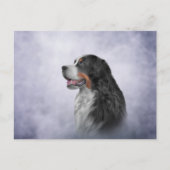 Tekening Bernese Mountain Dog Briefkaart (Voorkant)