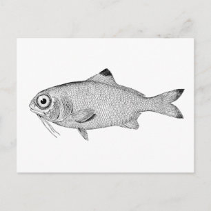  tekening briefkaart