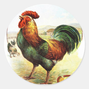  tekening: De Rooster Ronde Sticker