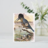  tekening: De Vissen Kingfisher Briefkaart (Staand voorkant)
