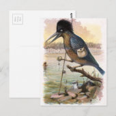  tekening: De Vissen Kingfisher Briefkaart (Voorkant / Achterkant)
