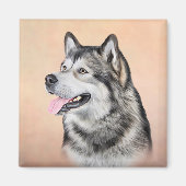 Tekening Dog Alaskan Malamute 2 Magneet (Voorkant)