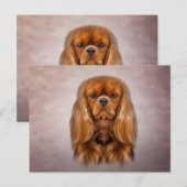 Tekening Dog Cavalier King Charles Spaniel Briefkaart (Voorkant / Achterkant)