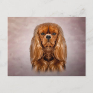 Tekening Dog Cavalier King Charles Spaniel Briefkaart