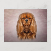 Tekening Dog Cavalier King Charles Spaniel Briefkaart (Voorkant)