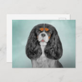 Tekening Dog Cavalier King Charles Spaniel Briefkaart (Voorkant / Achterkant)