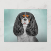 Tekening Dog Cavalier King Charles Spaniel Briefkaart (Voorkant)