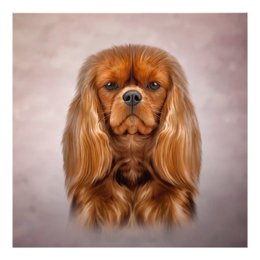 Tekening Dog Cavalier King Charles Spaniel Foto Afdruk (Voorkant)