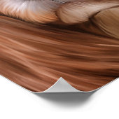 Tekening Dog Cavalier King Charles Spaniel Poster (Hoek)