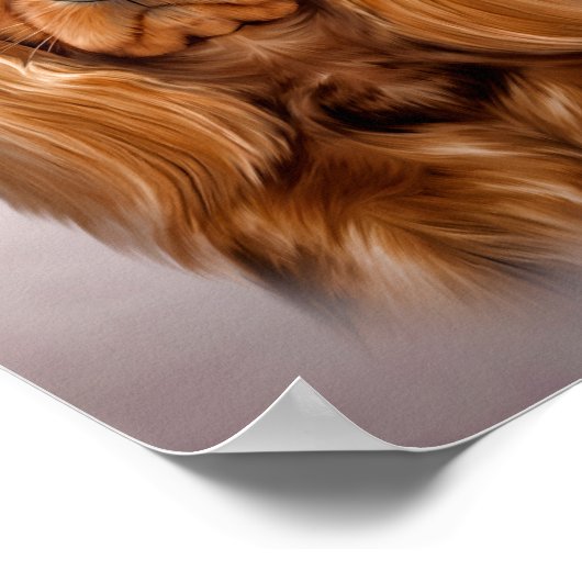 Tekening Dog Cavalier King Charles Spaniel Poster (Hoek)