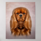 Tekening Dog Cavalier King Charles Spaniel Poster (Voorkant)
