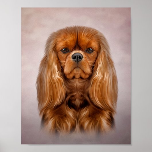 Tekening Dog Cavalier King Charles Spaniel Poster (Voorkant)