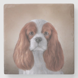 Tekening Dog Cavalier King Charles Spaniel Stenen Onderzetter