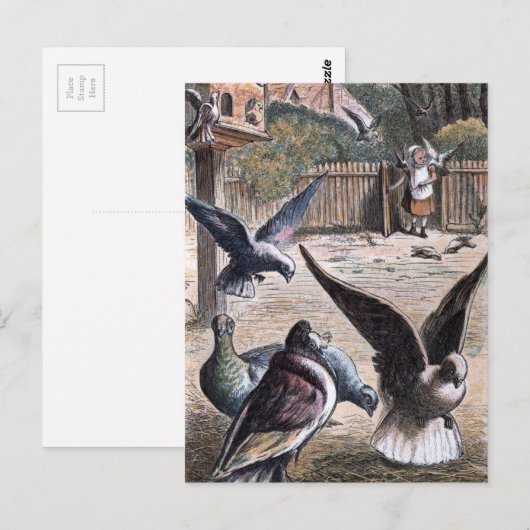  tekening: Drager Pidgeons Briefkaart (Voorkant / Achterkant)