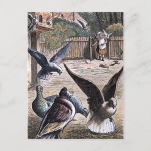 tekening: Drager Pidgeons Briefkaart