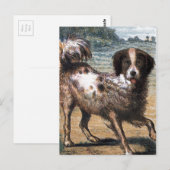 tekening: Een strakke hond Briefkaart (Voorkant / Achterkant)