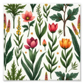 Tekening Foto Afdruk (Voorkant)