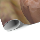 Tekening grappige Vizsla Pointer Cadeaupapier (Rol Hoek)