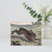  tekening: Het runnen van Hare op een Gebied Briefkaart (Staand voorkant)