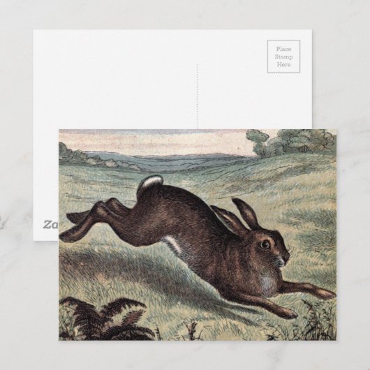  tekening: Het runnen van Hare op een Gebied Briefkaart (Voorkant / Achterkant)