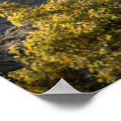 Tekening Hollywood Poster (Hoek)