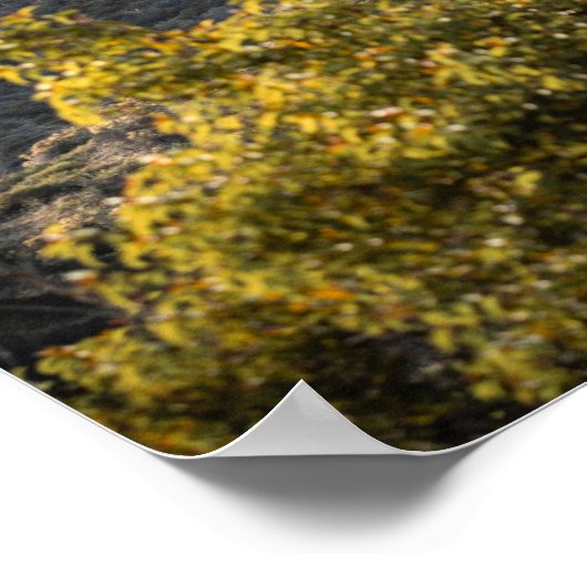 Tekening Hollywood Poster (Hoek)