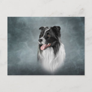 Tekening Hondenras Border Collie Briefkaart