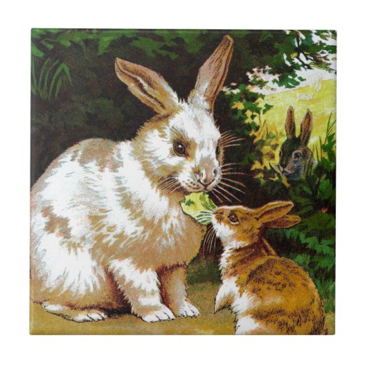 tekening: Kleine Bunnies Tegeltje (Voorkant)