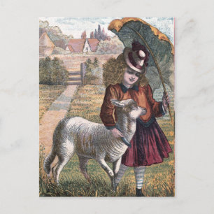 tekening: Marry's kleine Lamb Briefkaart