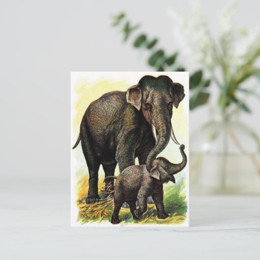  tekening: Moeder Elephant met Calf Briefkaart (Staand voorkant)