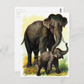  tekening: Moeder Elephant met Calf Briefkaart (Voorkant / Achterkant)