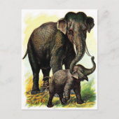  tekening: Moeder Elephant met Calf Briefkaart (Voorkant)