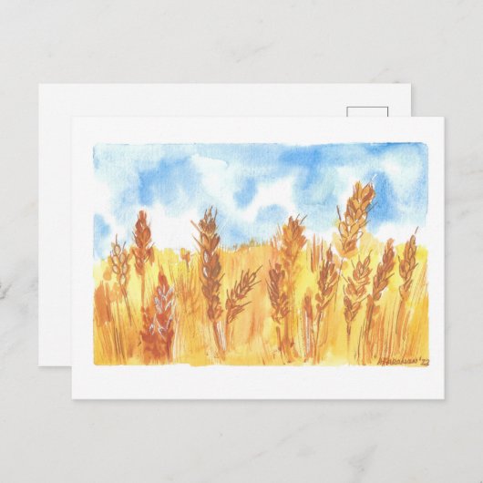 Tekening originele Waterverf Oekraïne Wheat Field Briefkaart (Voorkant / Achterkant)