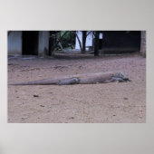 Tekening Poster (Voorkant)