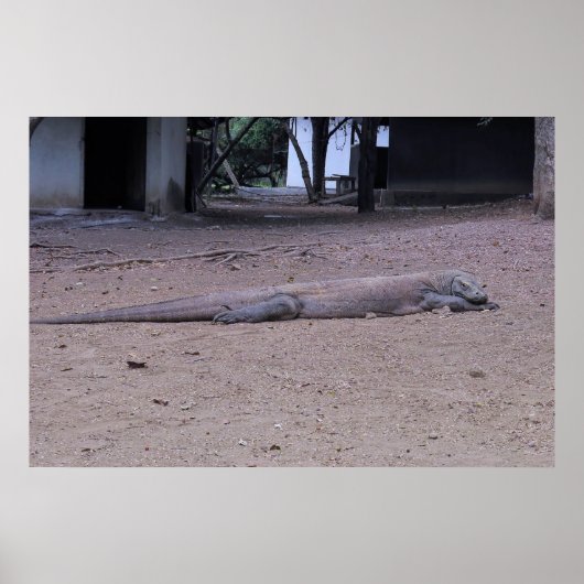 Tekening Poster (Voorkant)