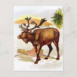 tekening: rendier in de sneeuw briefkaart
