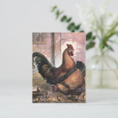  tekening: Rooster en Hen Briefkaart (Staand voorkant)