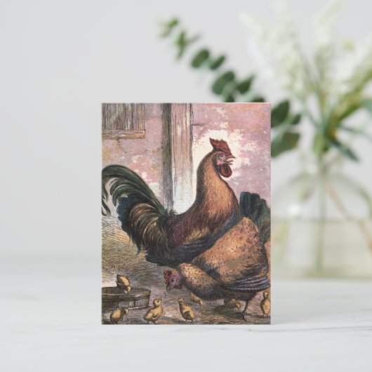  tekening: Rooster en Hen Briefkaart (Staand voorkant)