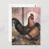  tekening: Rooster en Hen Briefkaart (Voorkant / Achterkant)