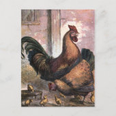  tekening: Rooster en Hen Briefkaart