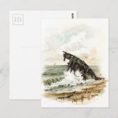 tekening: Scheepswrak op strand Briefkaart (Voorkant / Achterkant)